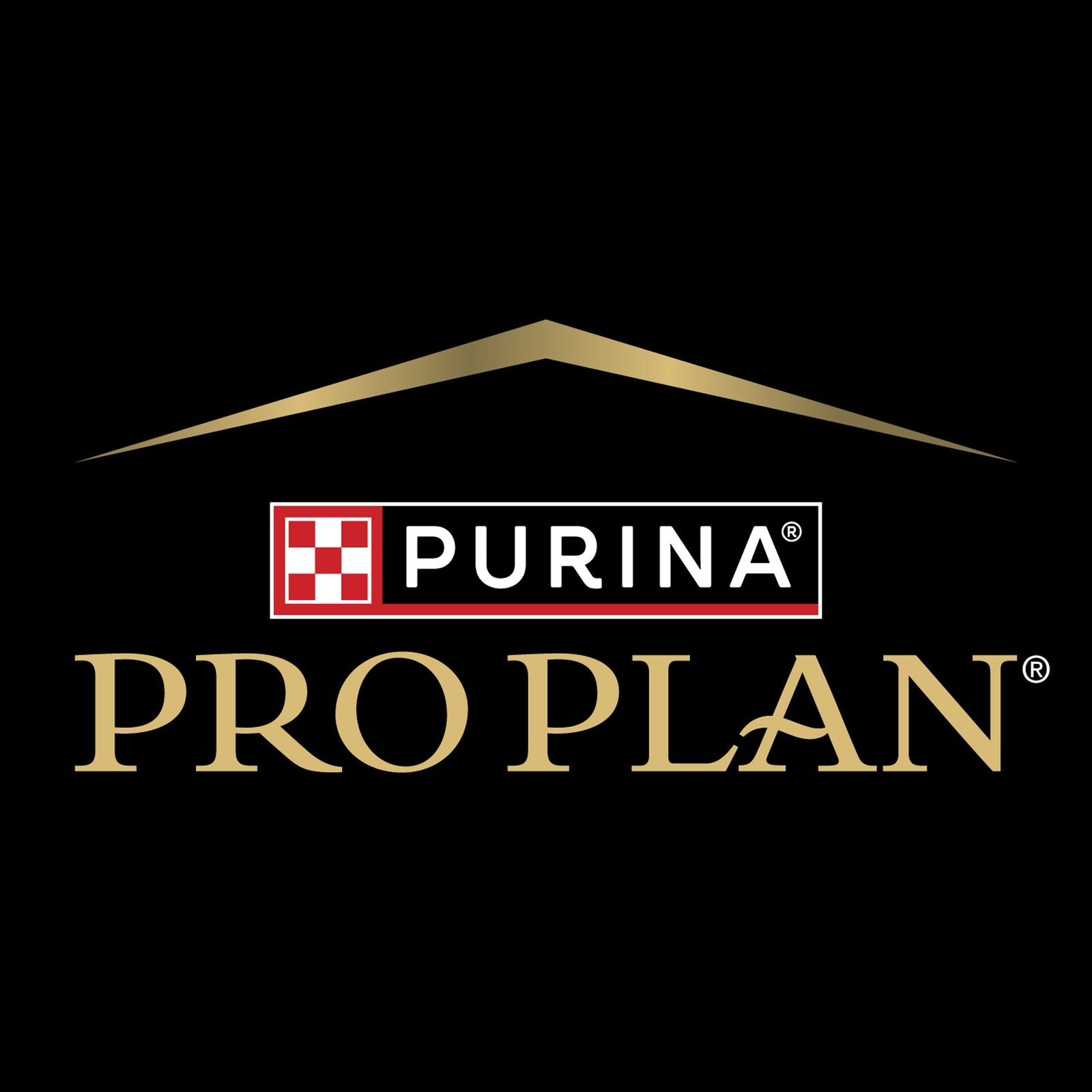 Pro Plan
