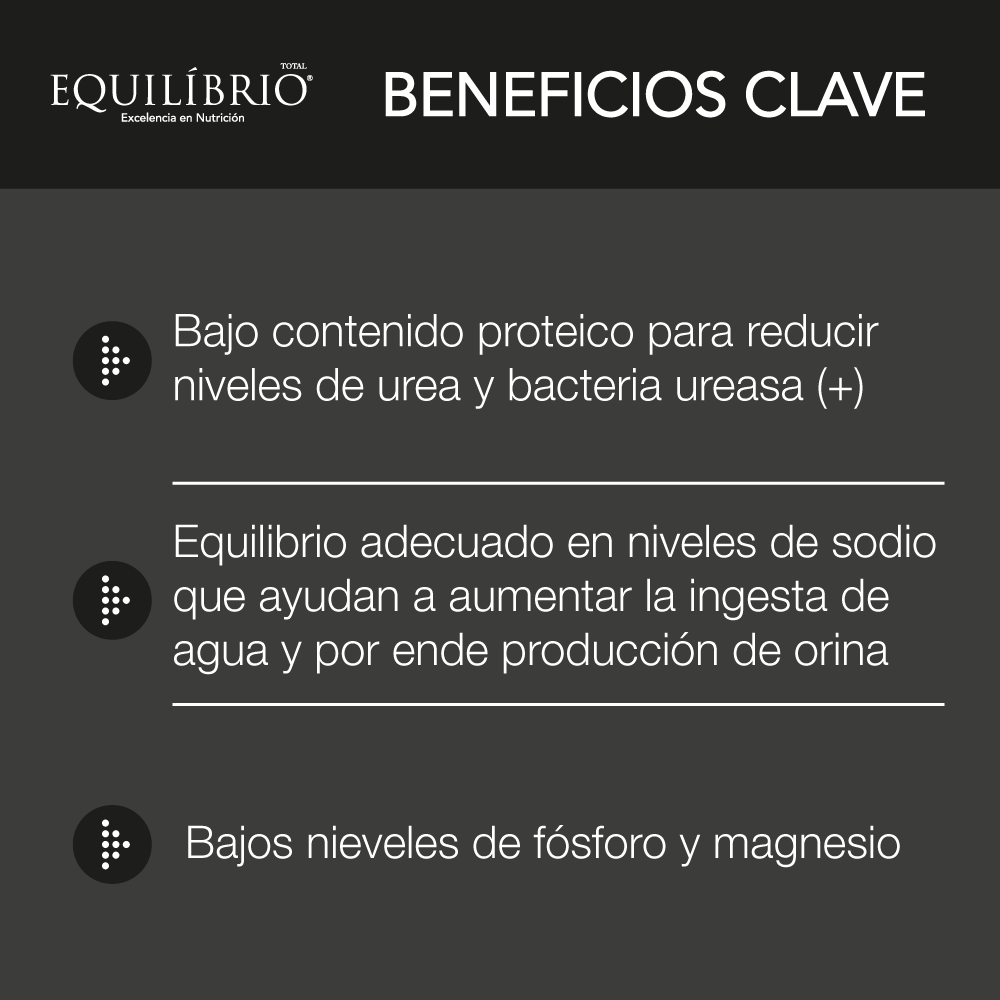 Alimento Equilibrio Veterinary UR Urinary Perro Adulto de Todas las Razas