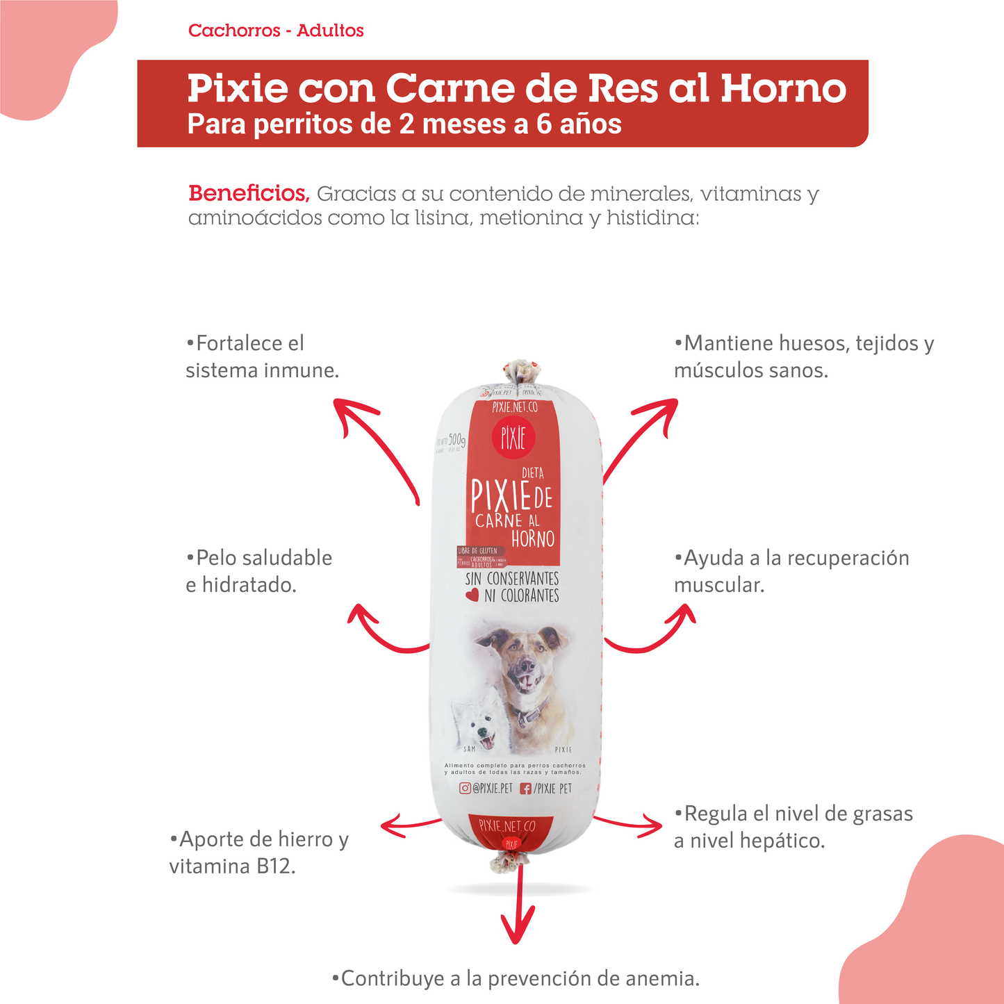 Alimento Congelado Pixie para Perro Sabor Carne Barf Dieta Horneada