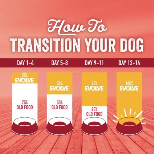 Alimento Evolve Classic Beef para Perro Adulto Sabor a Carne