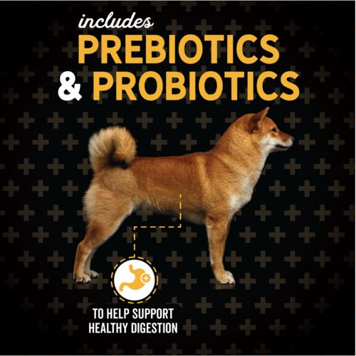 Alimento Evolve Classic Beef para Perro Adulto Sabor a Carne