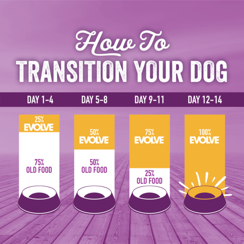 Alimento Evolve Classic Senior para Perro Adulto Mayor Sabor a Pollo