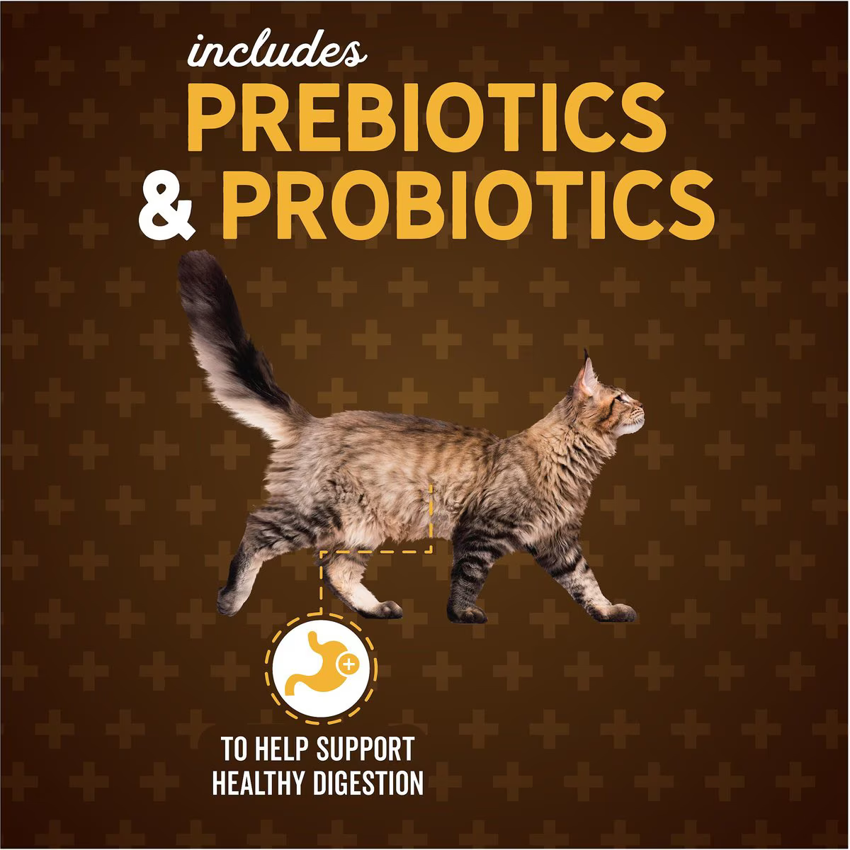 Alimento Evolve Classic para Gato Adulto Sabor a Pollo