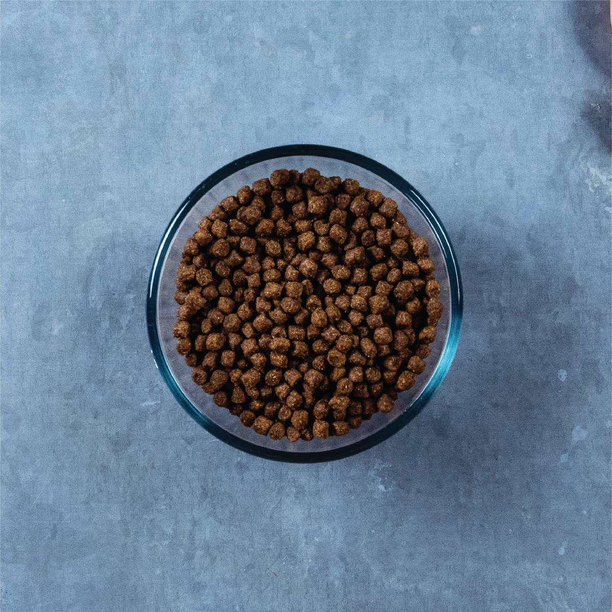 Alimento Evolve Classic para Gato Adulto Sabor a Salmón