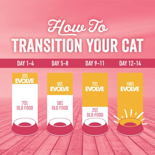 Alimento Evolve Classic para Gato Adulto Sabor a Salmón
