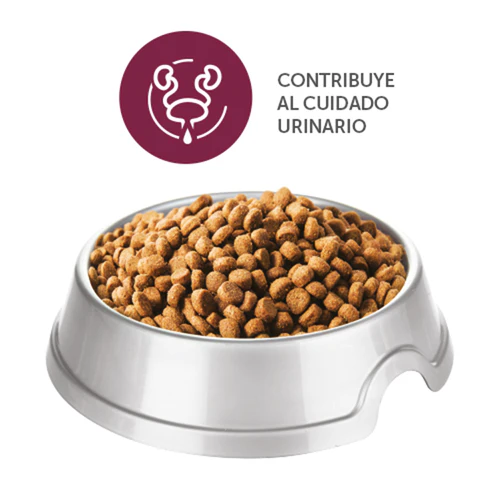 Alimento Mirringo +PRO Adulto para Gato de todas las Razas