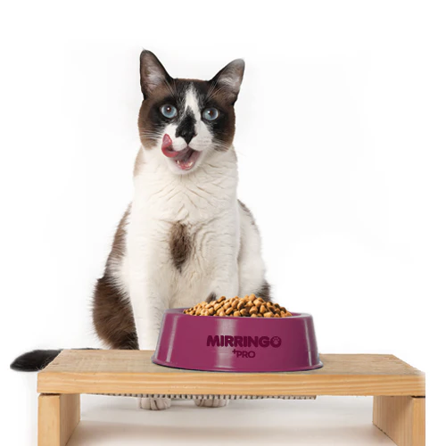 Alimento Mirringo +PRO Adulto para Gato de todas las Razas