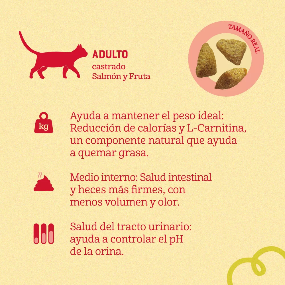 Alimento Naturalis para Gato Adulto Castrado sabor a Salmón y Frutas