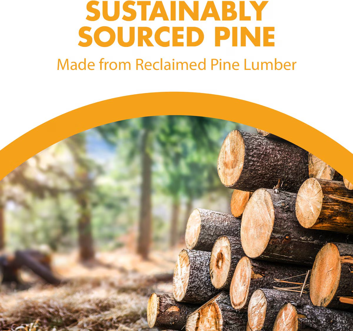 Aseo Arena Ecológica Feline Pine para Gatos