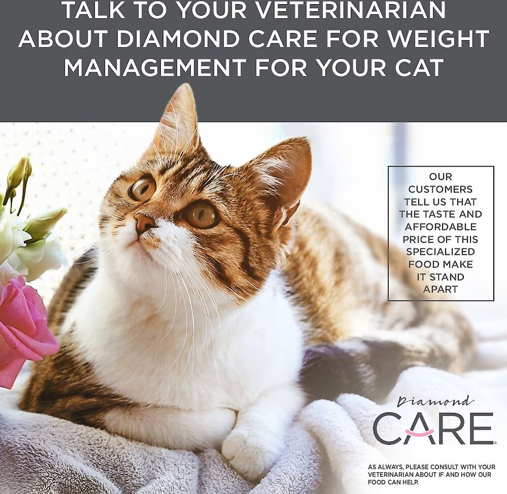 Alimento Diamond Care Weight Management para Gatos Adultos Control Peso