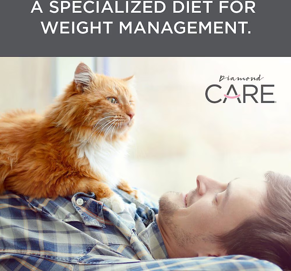 Alimento Diamond Care Weight Management para Gatos Adultos Control Peso