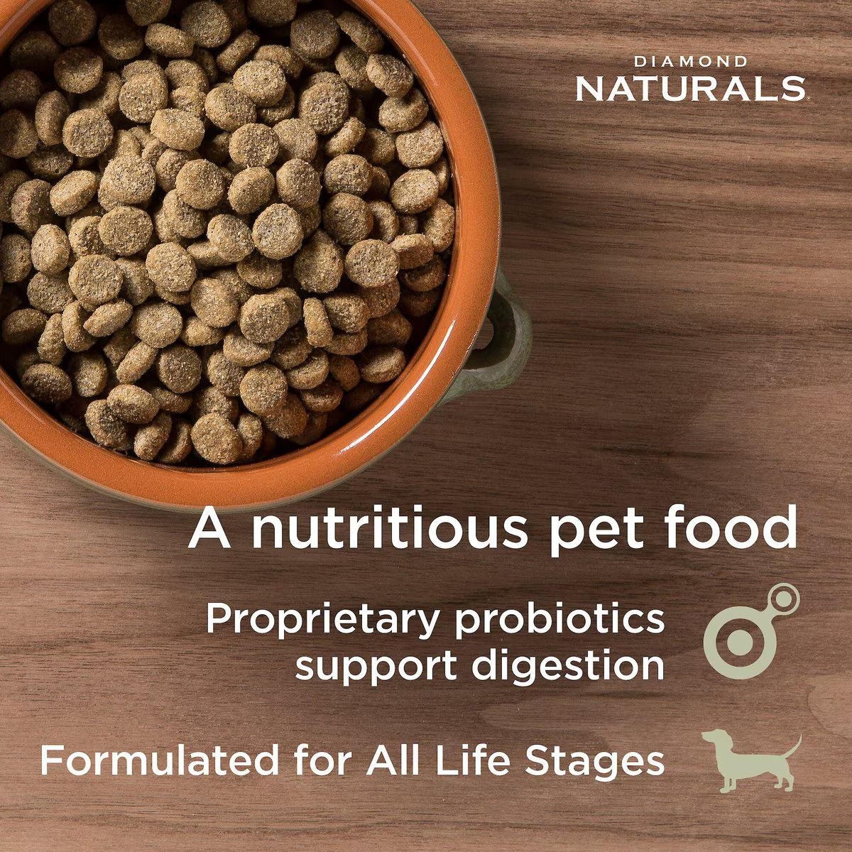 Alimento Diamond Naturals Skin & Coat para Perros Adultos