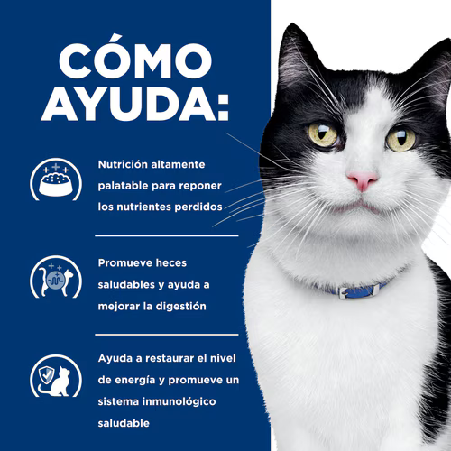 Alimento Hills Húmedo ID Digestive Care para Gato Adulto Sabor a Pollo
