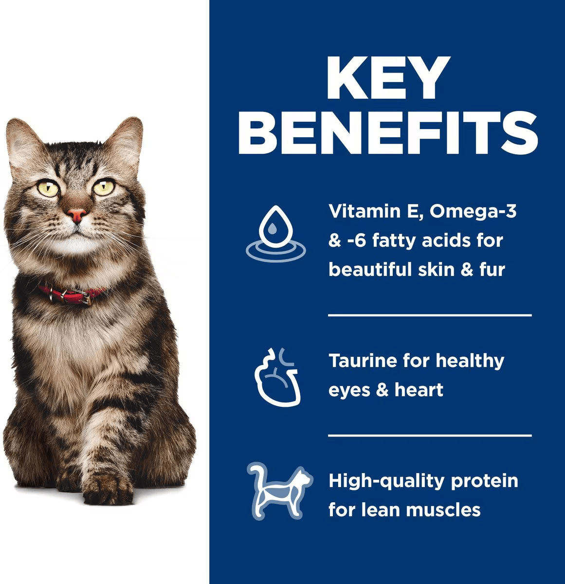Alimento Hills Hairball Control 7+ de Pelo para Gato Adulto Senior