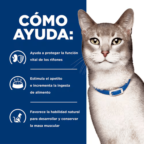 Alimento Hills KD Kidney Care para Gatos Adultos
