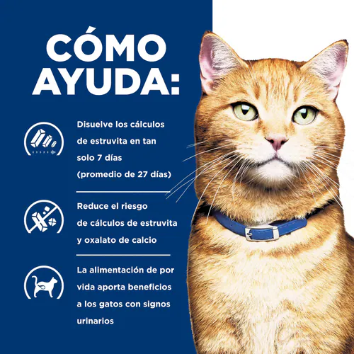 Alimento Hills Húmedo CD Urinary Care para Gato Adulto Sabor a Pollo