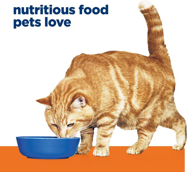 Alimento Hills Húmedo CD Urinary Care para Gato Adulto Sabor a Pollo