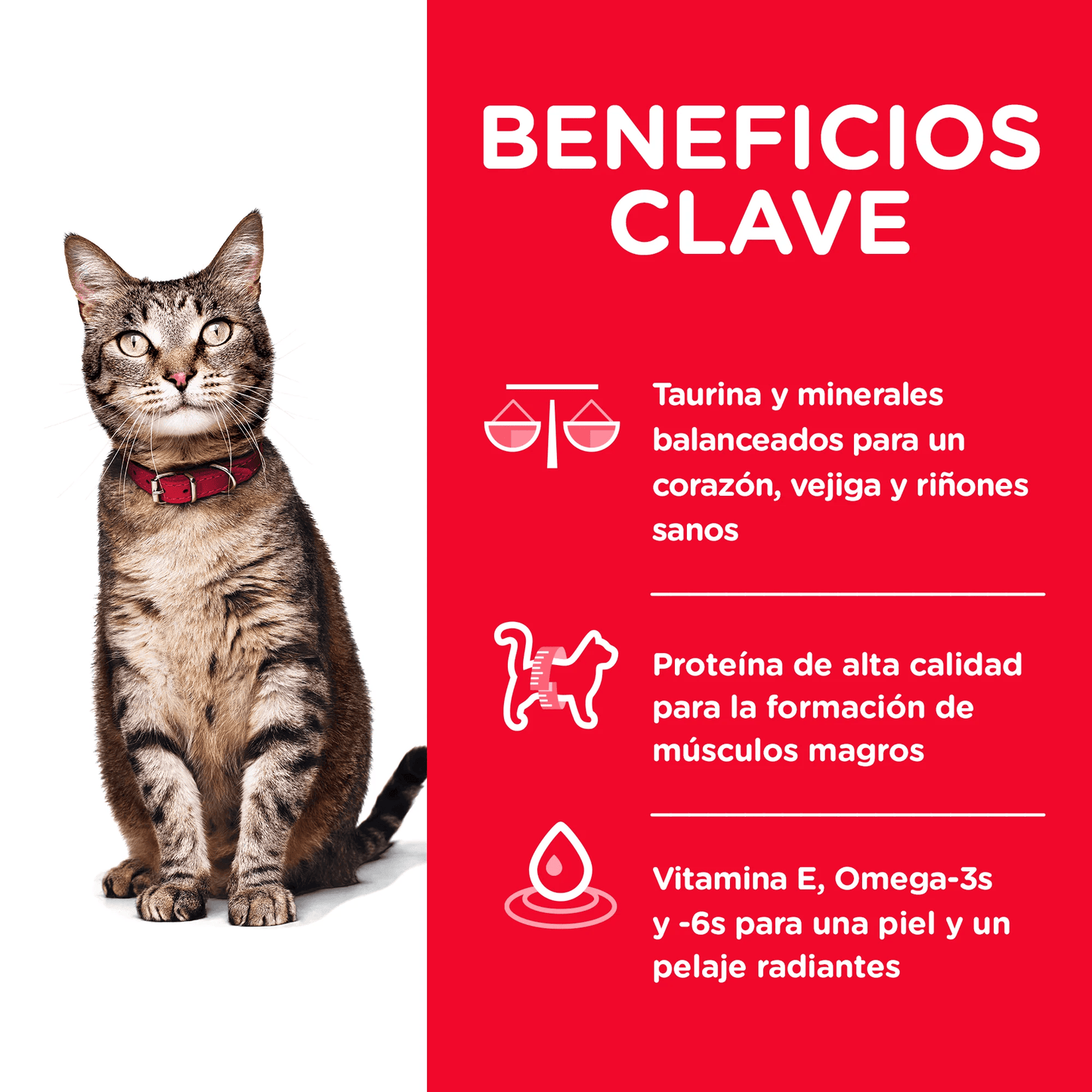 Alimento Hills Optimal Care para Gato Adulto Sabor a Pollo