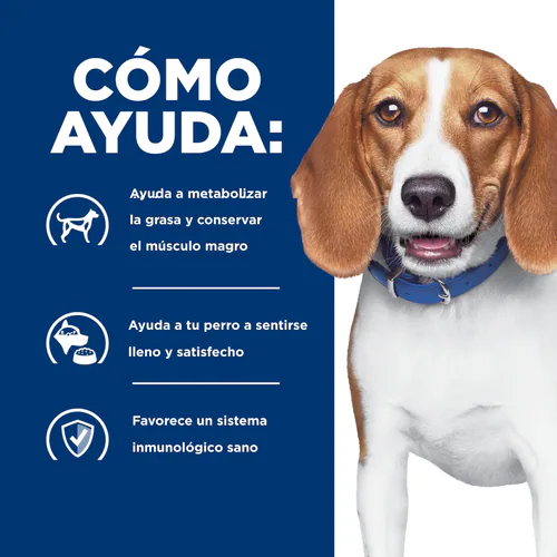 Alimento Hills RD Weight Loss para Perro Adulto perdida de peso