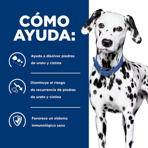 Alimento Hills Urinary Care U/D Para Perros Adultos