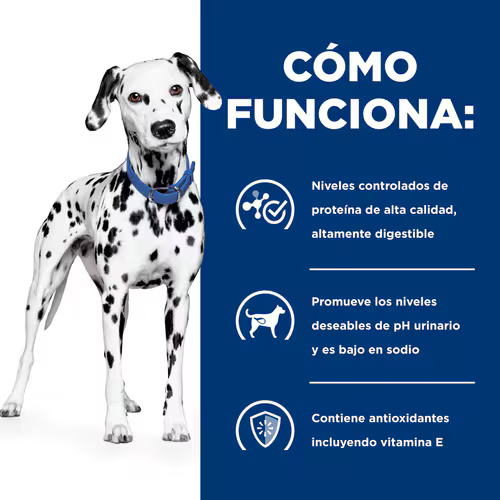 Alimento Hills Urinary Care U/D Para Perros Adultos