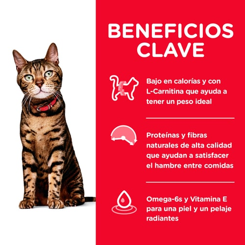 Alimento Hills Light para Gato Adulto