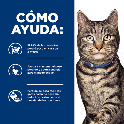 Alimento Hills Metabolic para Gatos Adultos