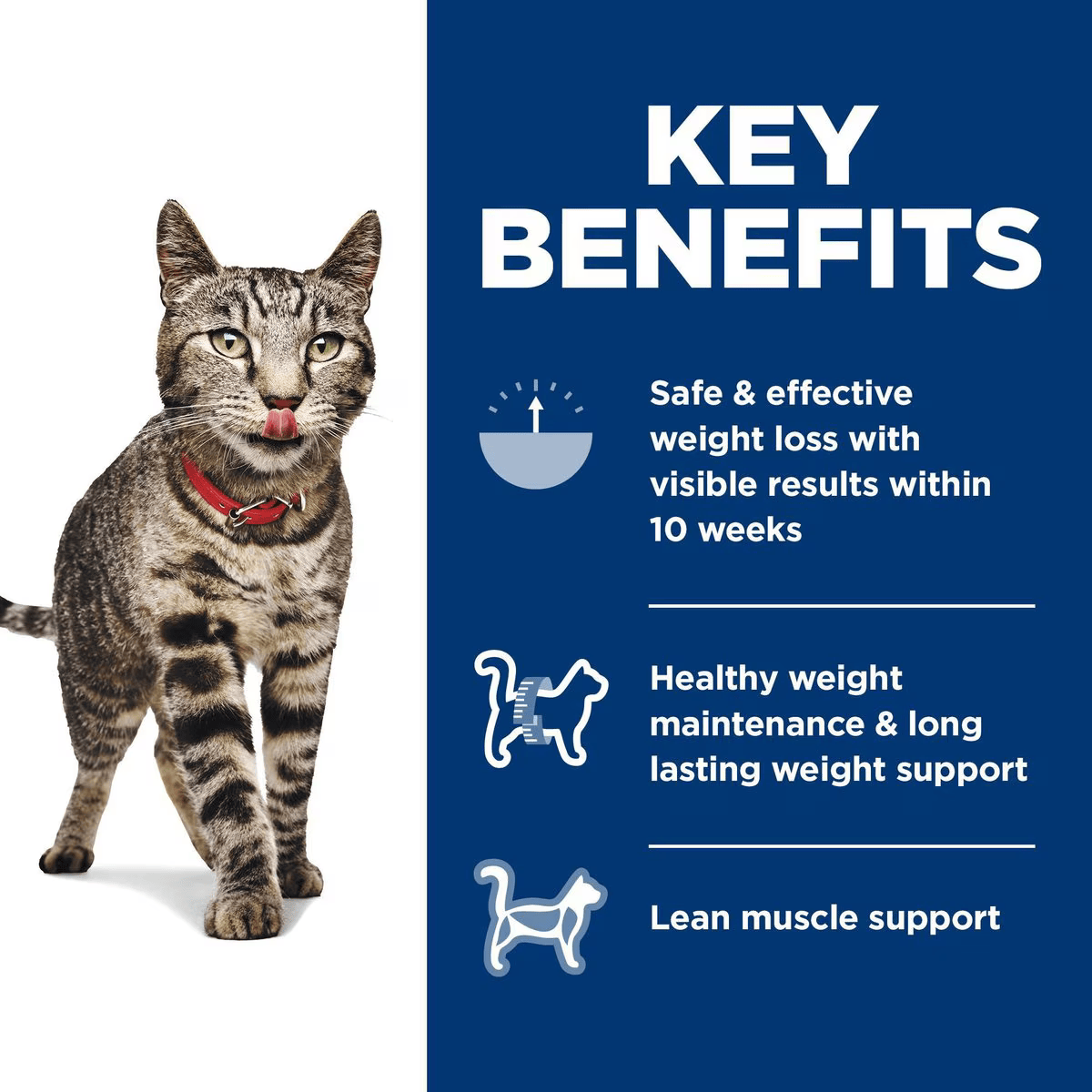 Alimento Hills Perfect Weight Para Gatos Adultos