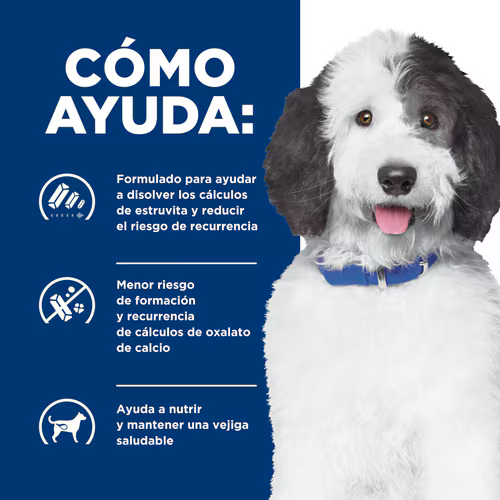Alimento Hills C/D Urinary Care Multicare para Perros Adultos