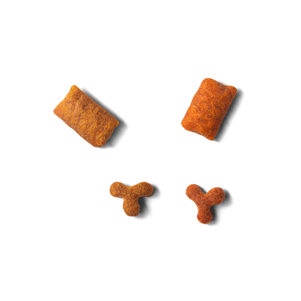 Alimento Monello para Gato Adulto Salmon