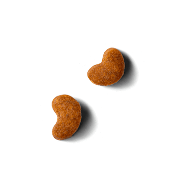 Alimento Select By Monello Madres y Gatitos para Gato