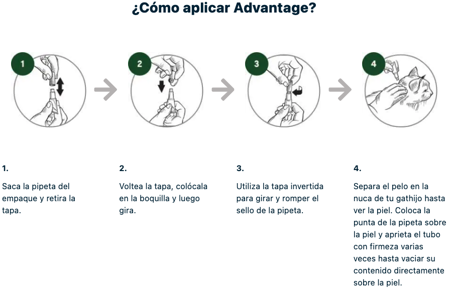 Medicamento Antipulgas Advantage para Gatos de 4 a 8 Kilos
