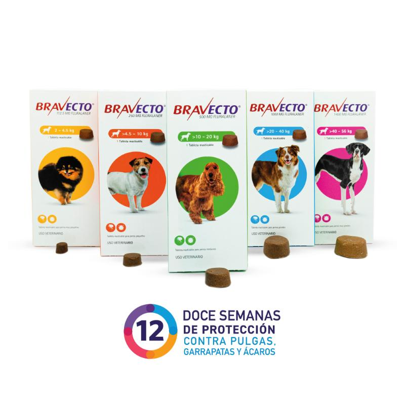 Medicamento Bravecto Antipulgas Masticable para Perros de 4.5 a 10 Kg