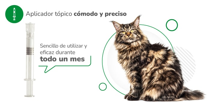 Medicamento Nexgard Combo Antiparasitario y Externo Topico para Gatos de 2.5 a 7.5 Kg