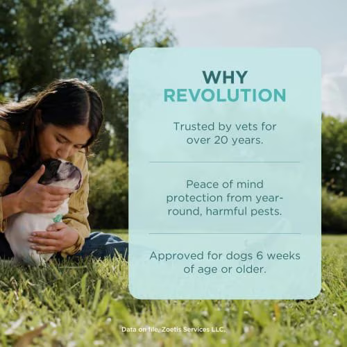 Medicamento Revolution Antipulgas Externo para Perros de 5.1 a 10 Kg
