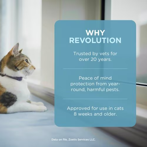 Medicamento Revolution Antipulgas para Gatos de 2.6 Kg a 7.5 Kg