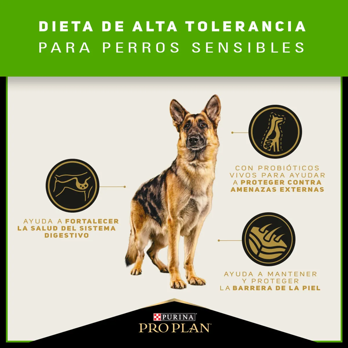 Alimento Pro Plan Sensitive Skin and Stomach para Perros Adultos
