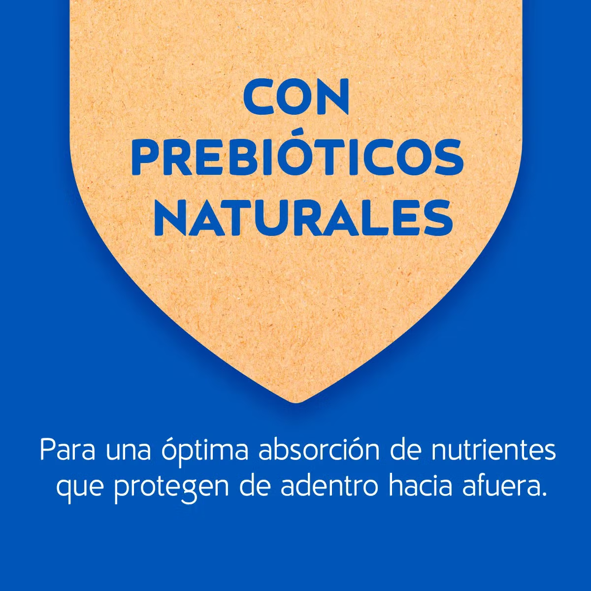 Alimento Cat Chow Hogareños para Gato Adulto Sabor a Carne