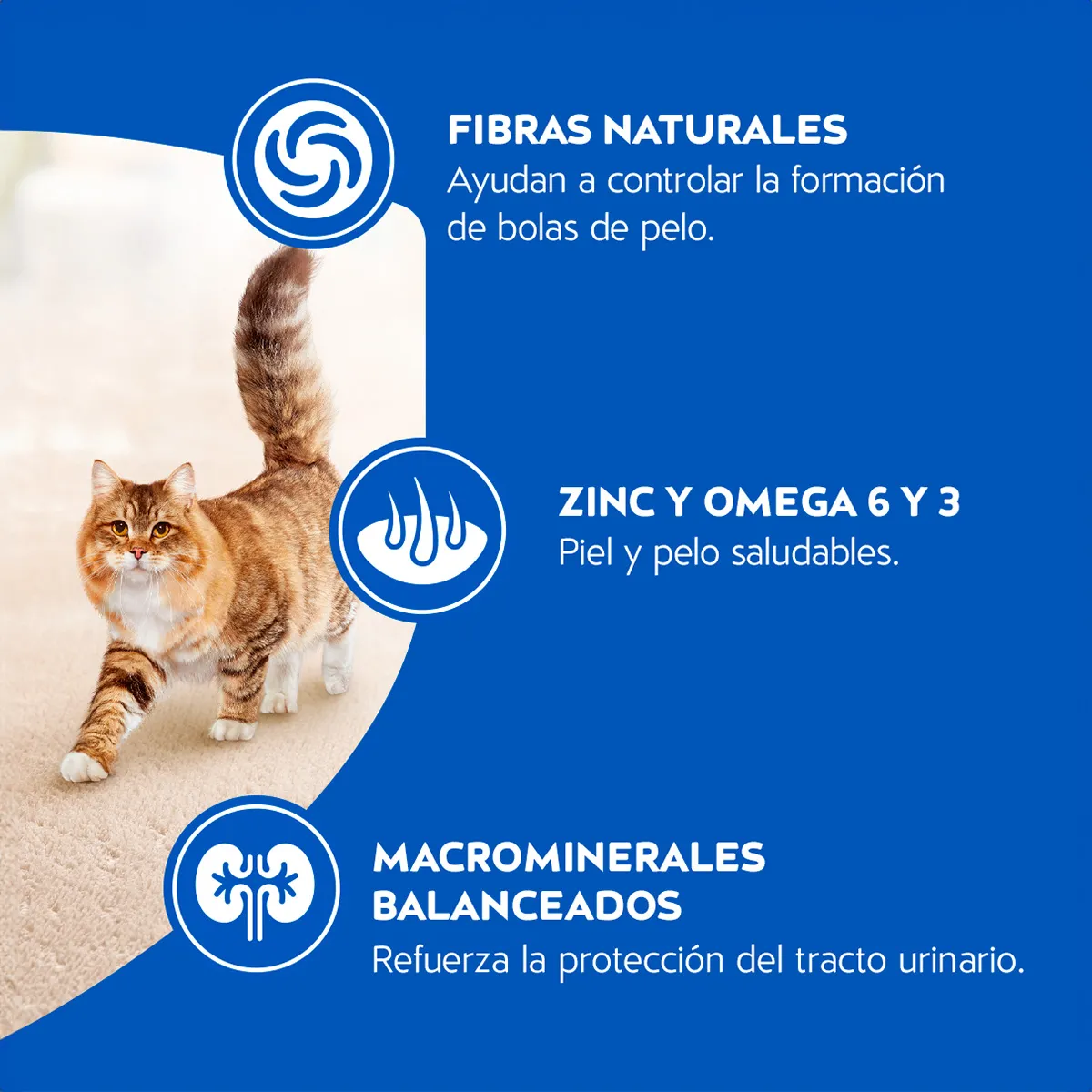 Alimento Cat Chow Hogareños para Gato Adulto Sabor a Carne
