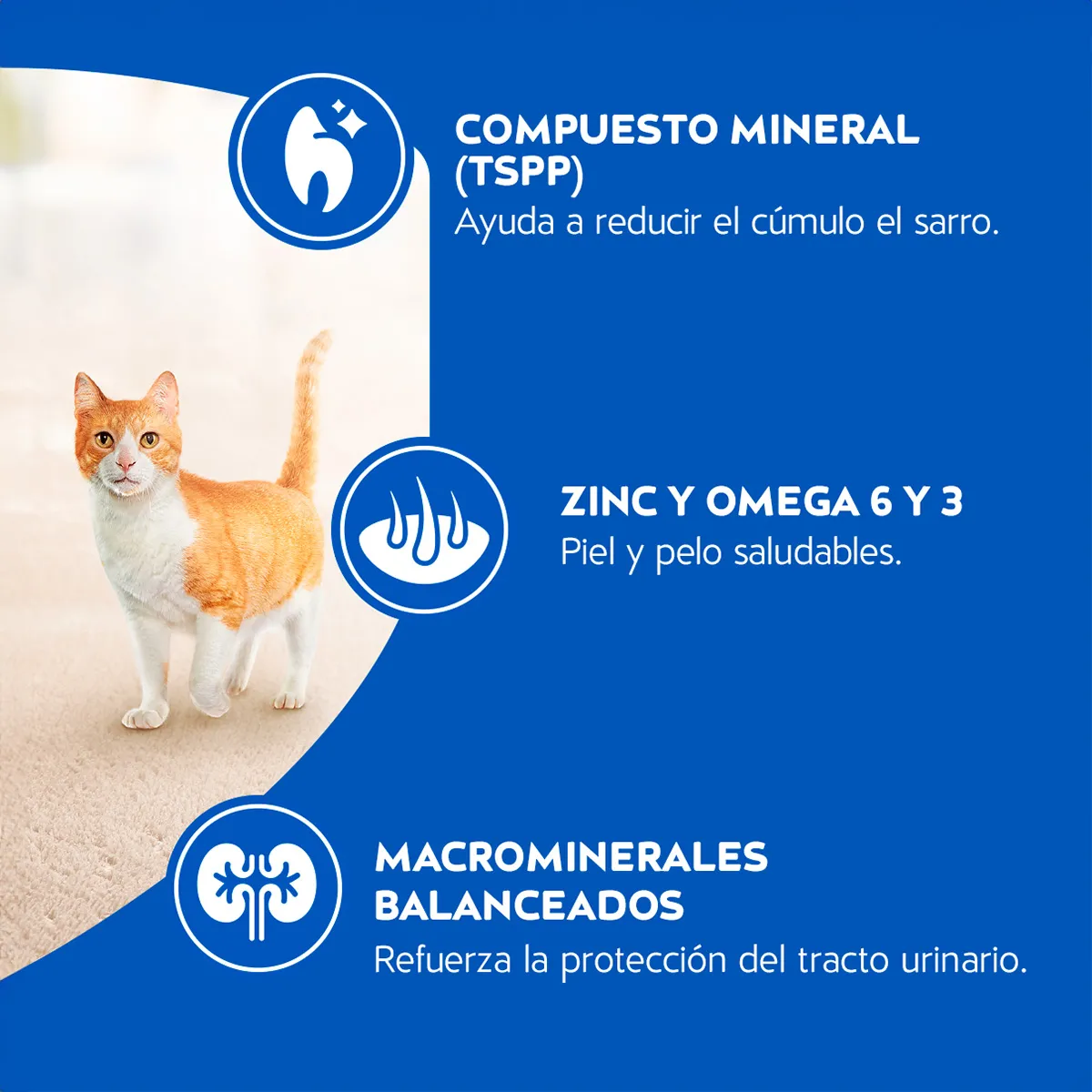 Alimento Cat Chow para Gatos Adultos Sabor Pescado
