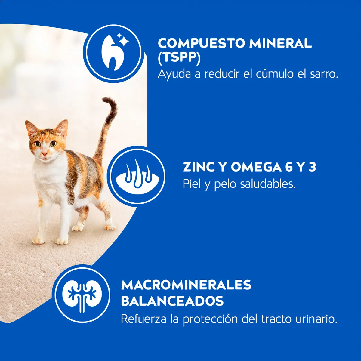 Alimento Cat Chow Delimix para Gatos Adultos Sabor a Salmón, Carne y Pollo