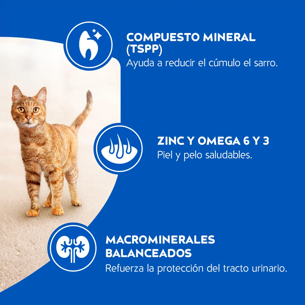 Alimento Cat Chow para Gatos Adultos Sabor a Carne