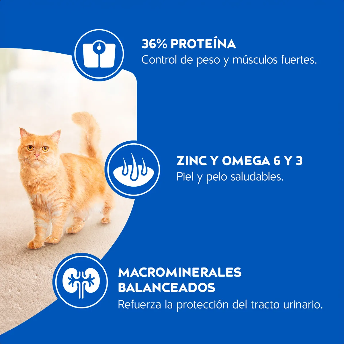 Alimento Cat Chow para Gatos Adultos Esterilizados sabor a Pescado