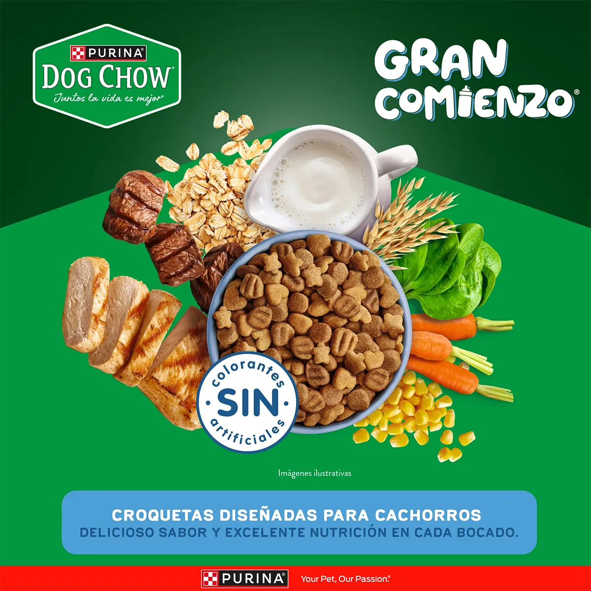 Alimento Dog Chow Gran Comienzo para Perros Cachorros Medianos y Grandes