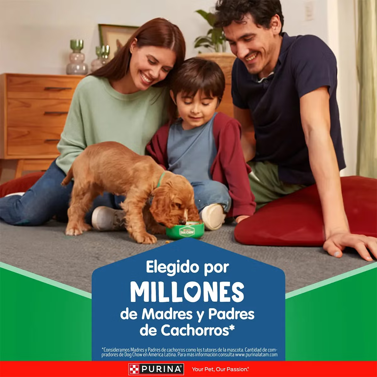 Alimento Dog Chow Gran Comienzo para Perros Cachorros Medianos y Grandes
