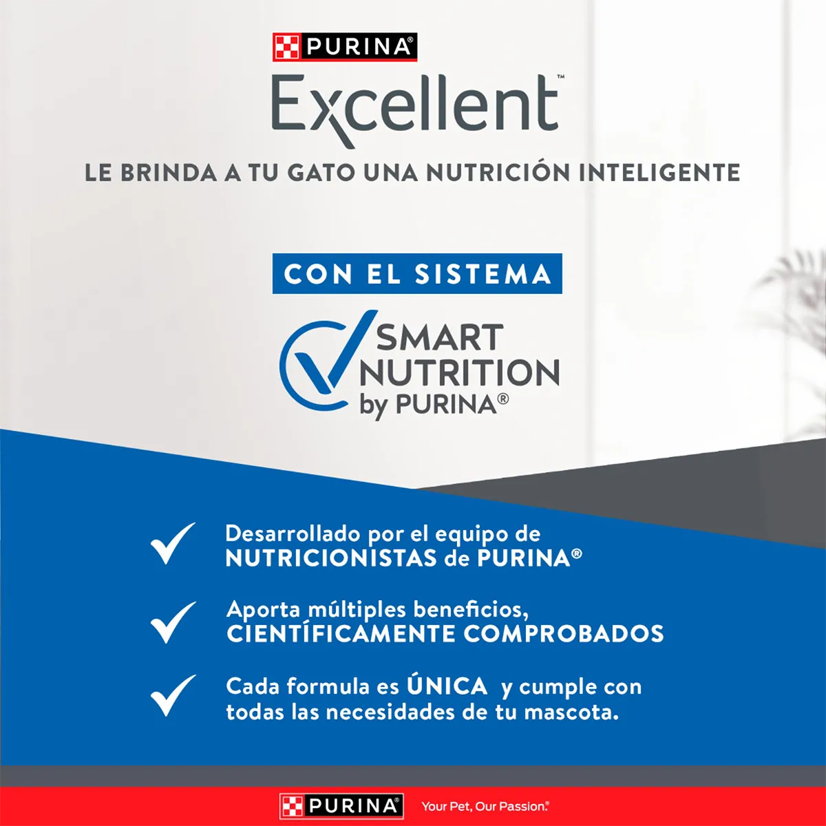 Alimento Purina Excellent para Gato Adulto Sabor a Pollo y Arroz