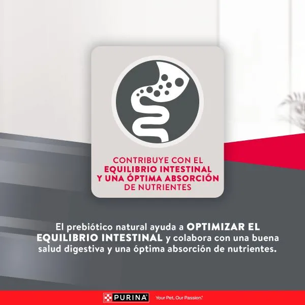 Alimento Purina Excellent Razas Medianas y Grandes para Perros Adultos