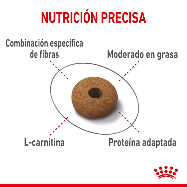 Alimento Royal Canin Appetite Control Care para Gato Adulto