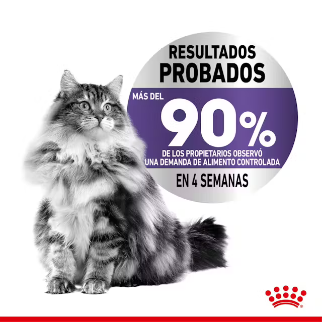 Alimento Royal Canin Appetite Control Care para Gato Adulto