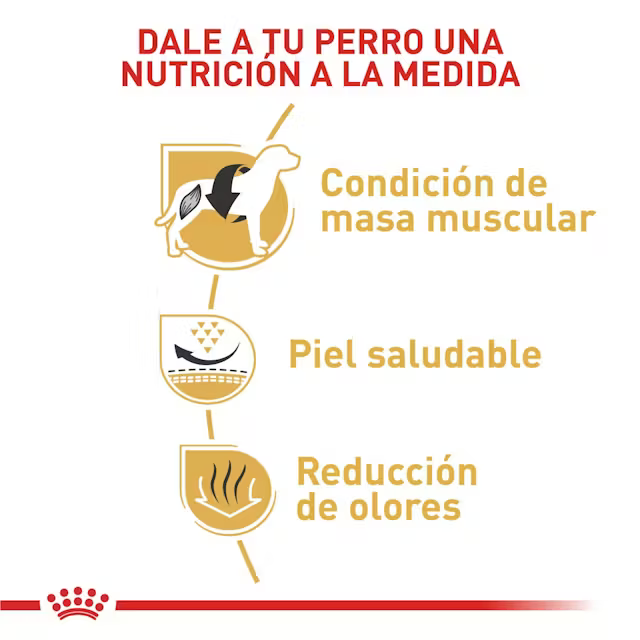 Alimento Royal Canin Bulldog Frances Perro Adulto